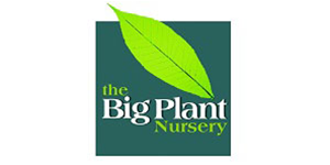 The Big Plant Nursery