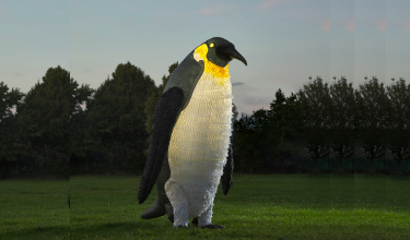 Blizzard the Penguin
