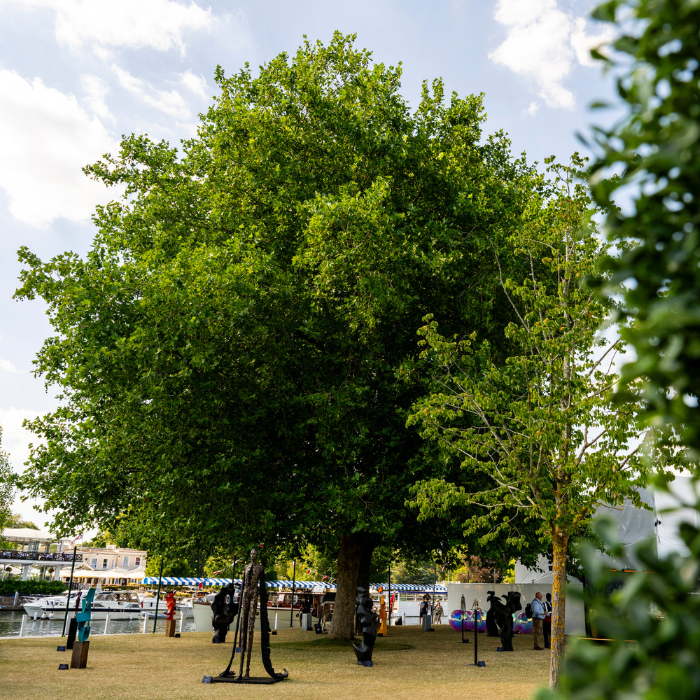 Behind the Scenes: Building a More Sustainable Festival 