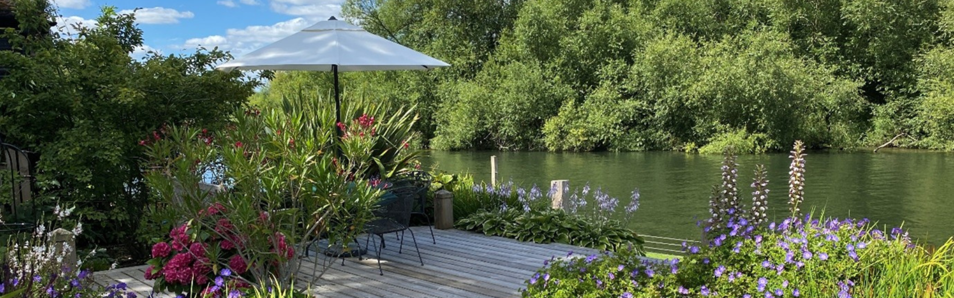 The Big Plant Nursery: Turn Up the Volume on Your Outdoor Space