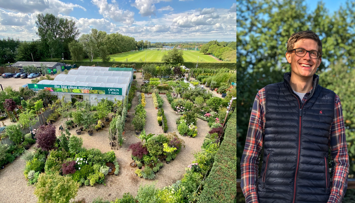 The Big Plant Nursery: Cultivating Calm and Beauty