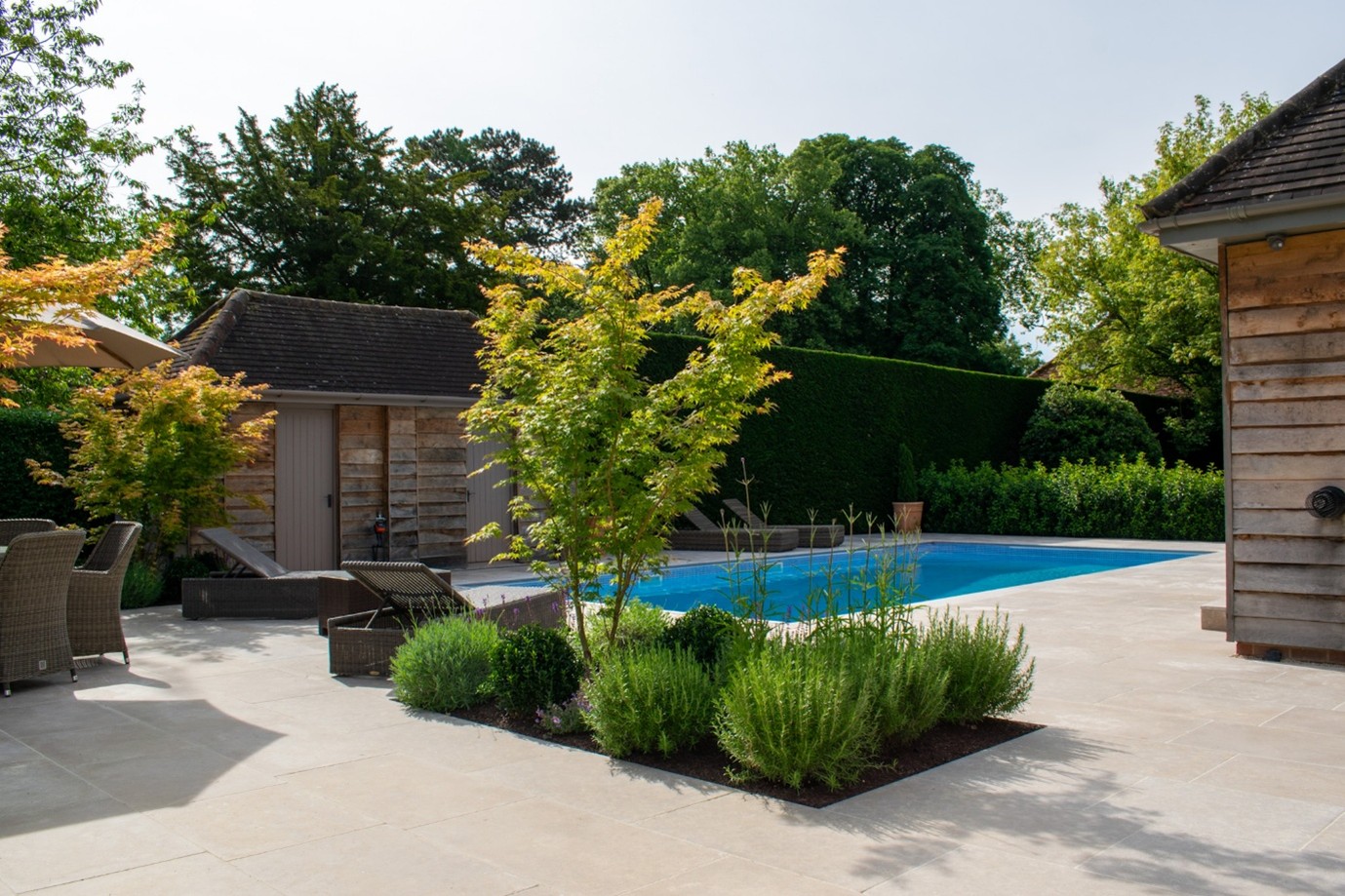 The Big Plant Nursery