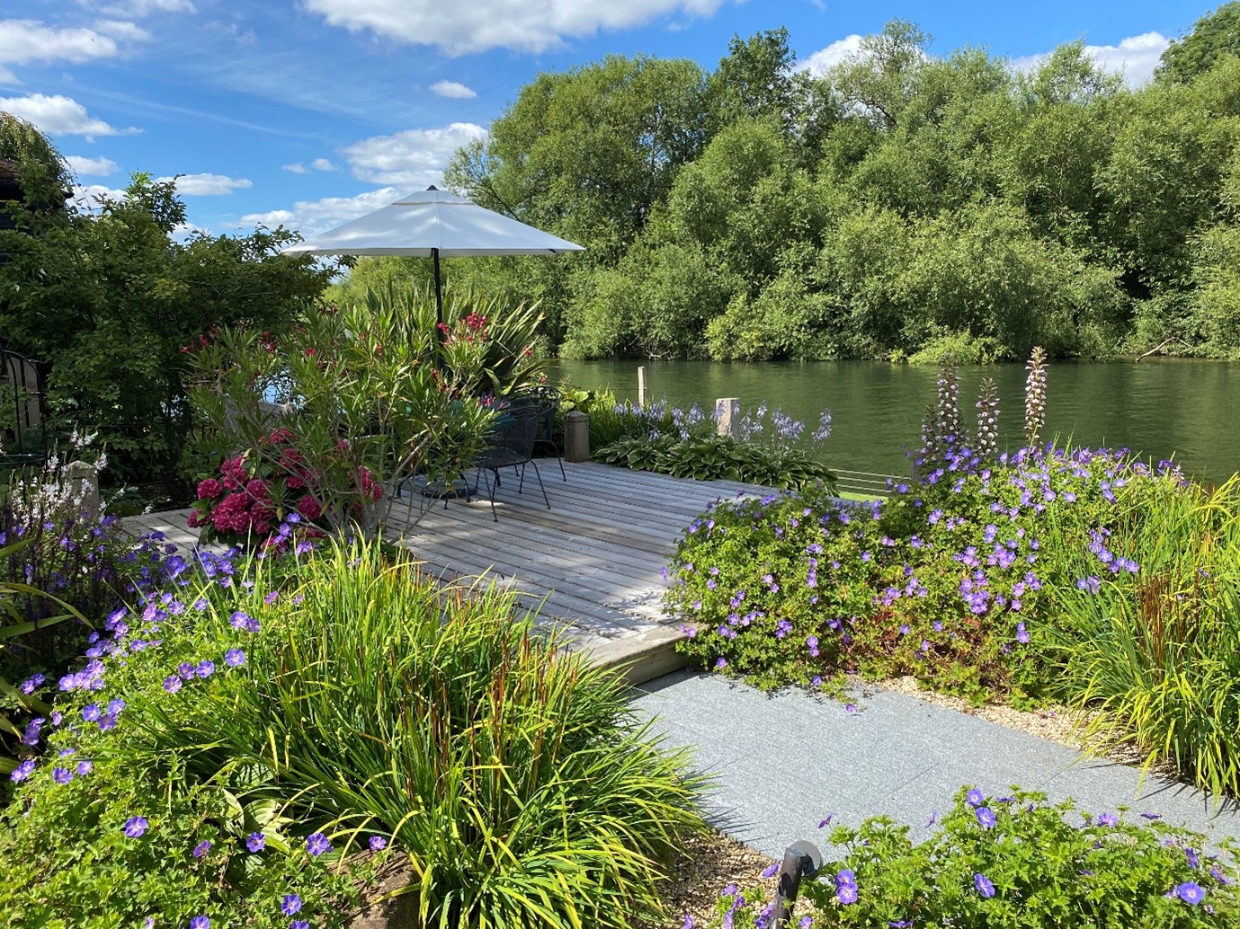 The Big Plant Nursery