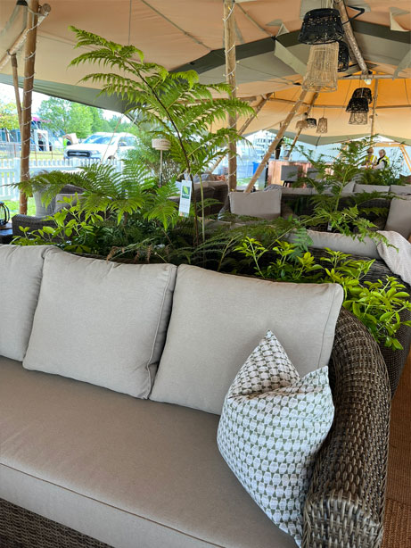 The Big Plant Nursery