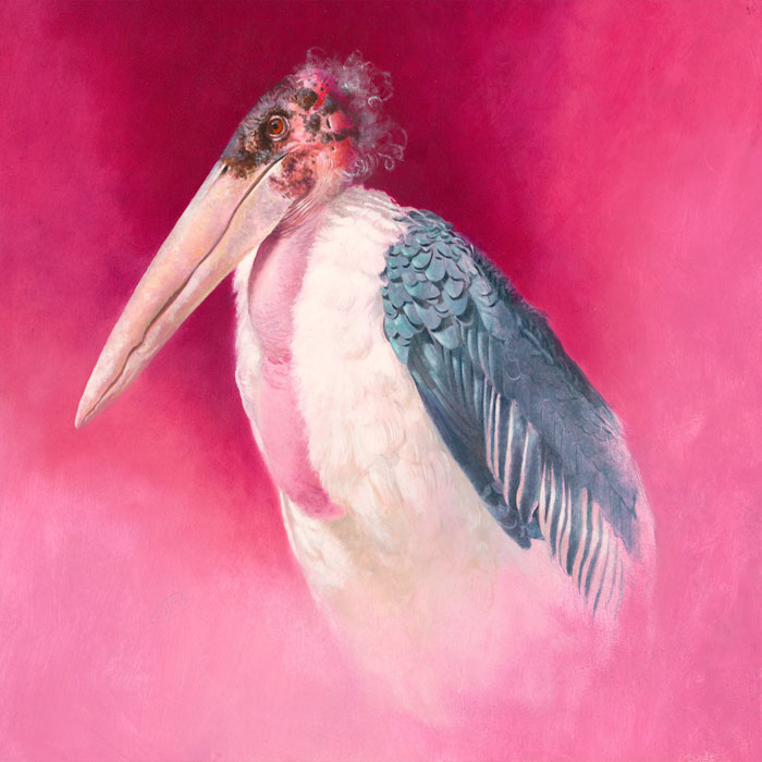 Marabou Stork