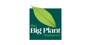 The Big Plant Nursery