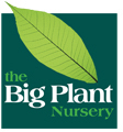 The Big Plant Nursery