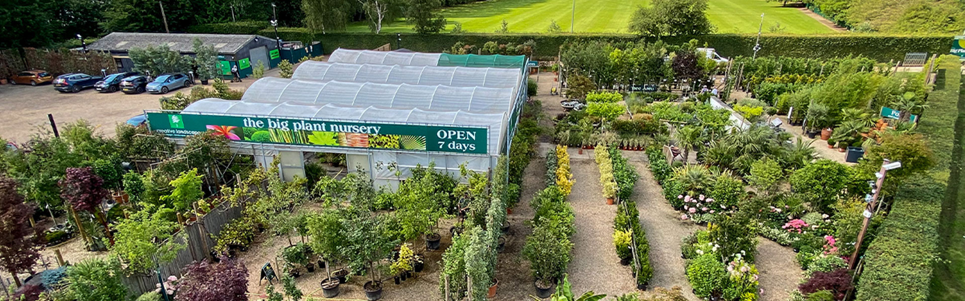 The Big Plant Nursery